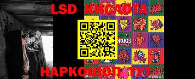 стафф Лесосибирск