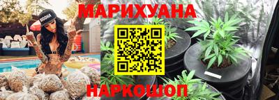 стафф Лесосибирск